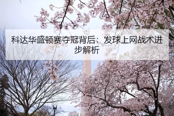 ke-da-hua-sheng-dun-sai-duo-guan-bei-hou-fa-qiu-shang-wang-zhan-shu-jin-bu-jie-xi-2-174.jpg